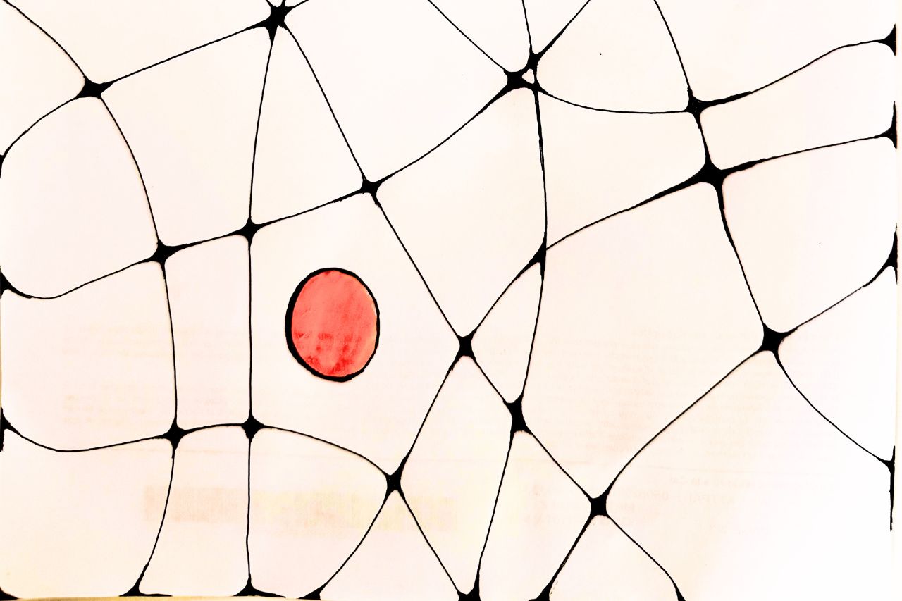 Explores tes intelligences multiples