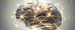 Explores tes intelligences multiples